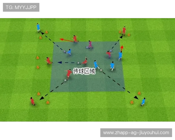 足球蛇形突击训练套装专业提升球员灵活性与控球能力的全方位训练设备